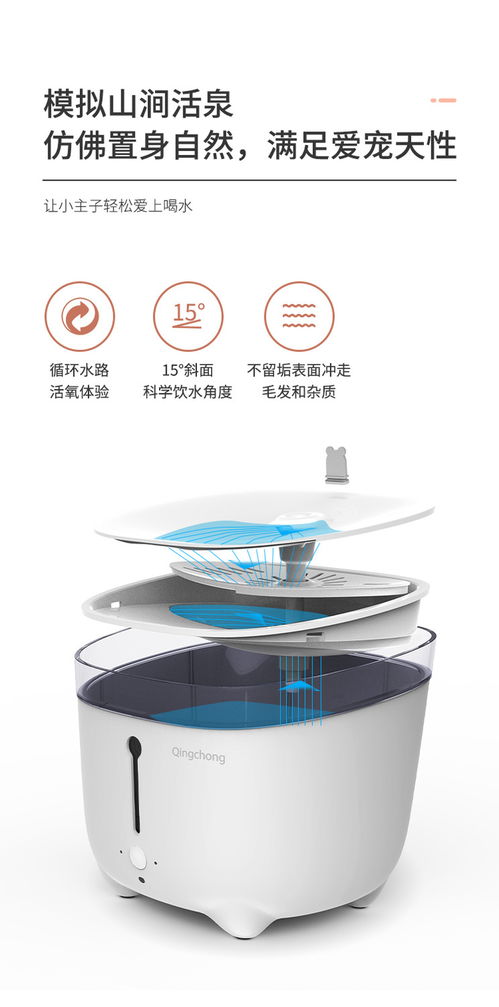 宠物饮水机的革新 让猫咪狗狗爱上喝水的智能选择